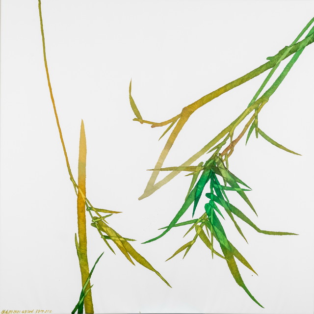缓慢之作，彩色竹子Painting Slowness  Colored Bamboo，单凡，布面油彩，200x200cm，2021